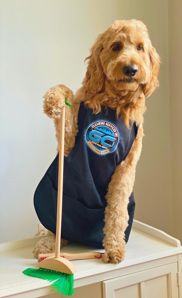 A dog wearing an apron and holding a broom.