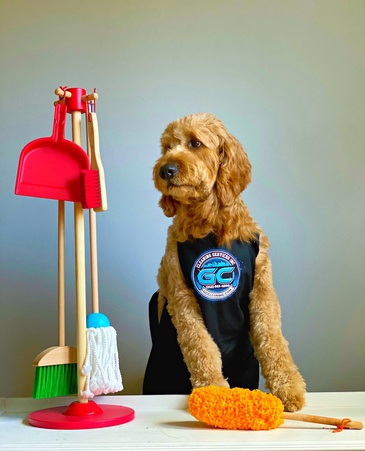 A dog wearing an apron sits on a table next to a set of cleaning tools.